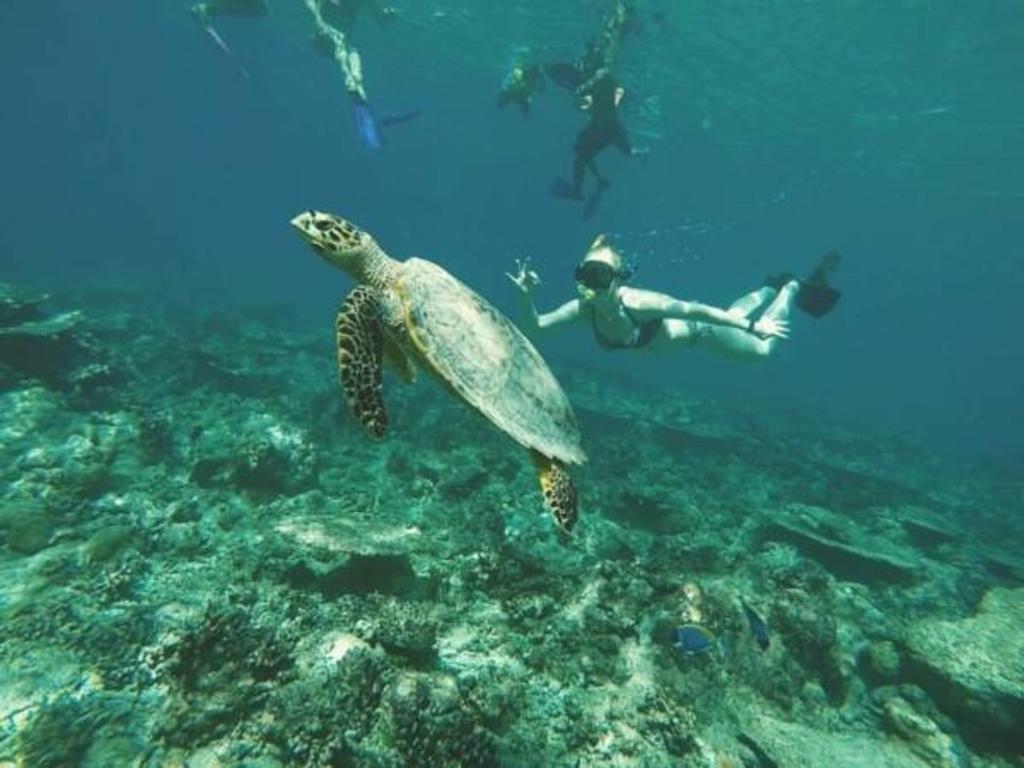 Gurus Maldives At Gulhi Island 호텔 외부 사진